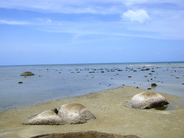 СаТаХуаБа (июль 2011) - every day we’re shuffling (: