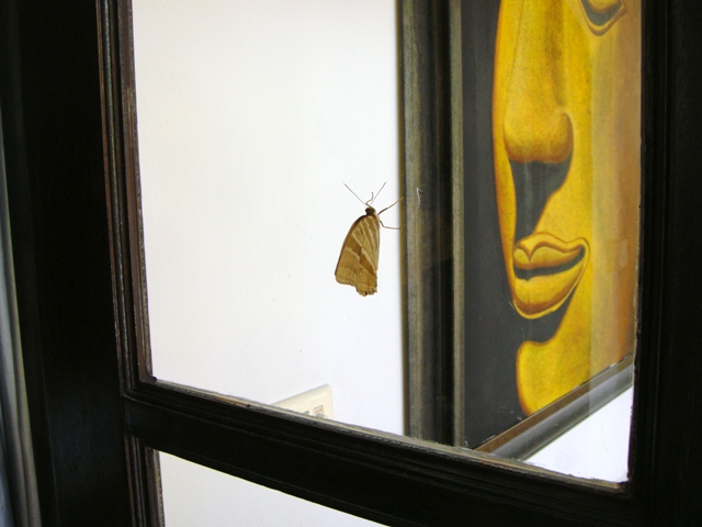 СаТаХуаБа (июль 2011) - every day we’re shuffling (: