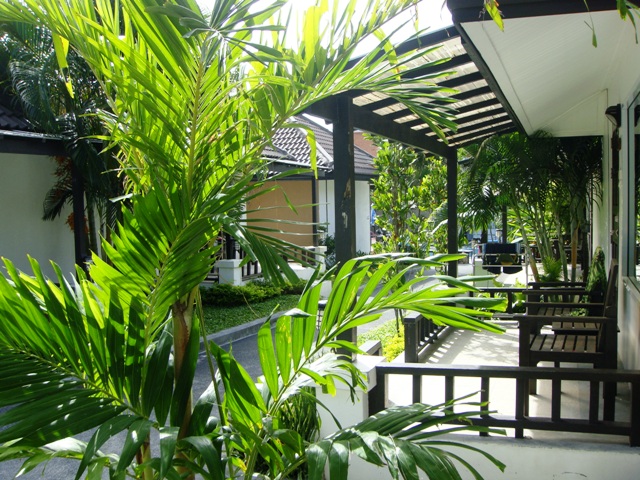 СаТаХуаБа (июль 2011) - every day we’re shuffling (: