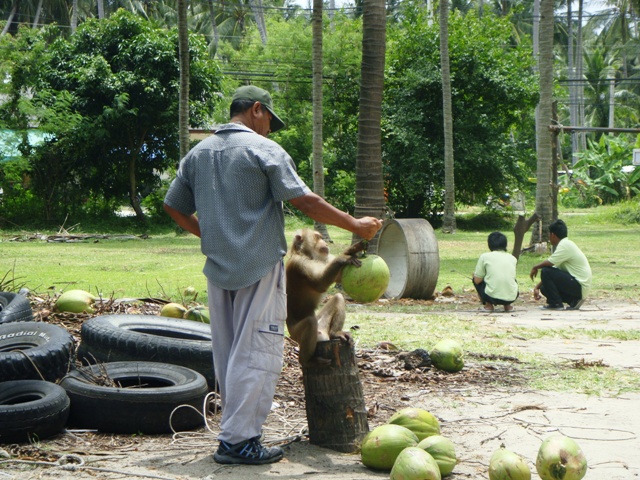 СаТаХуаБа (июль 2011) - every day we’re shuffling (: