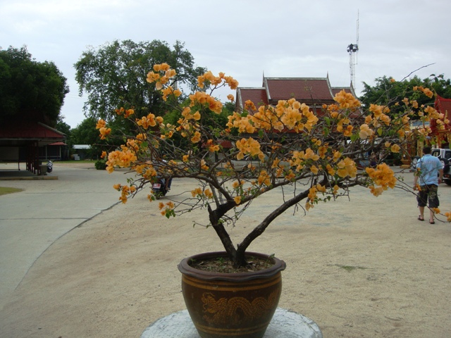 СаТаХуаБа (июль 2011) - every day we’re shuffling (: