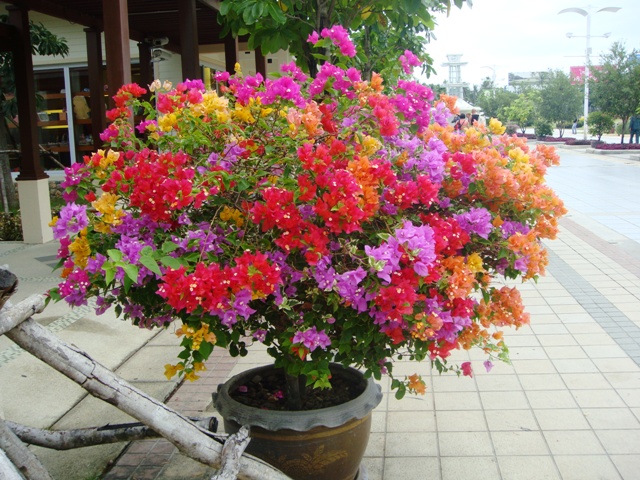 СаТаХуаБа (июль 2011) - every day we’re shuffling (: