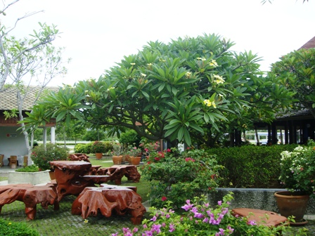 СаТаХуаБа (июль 2011) - every day we’re shuffling (: