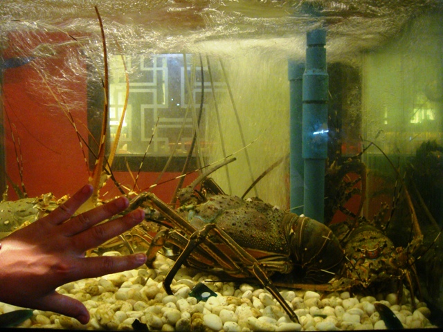 СаТаХуаБа (июль 2011) - every day we’re shuffling (: