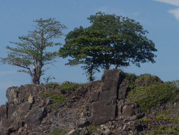 Ко Липе, Ко Рави и др.о-ва юга, Январь 2008, фото(траффик)