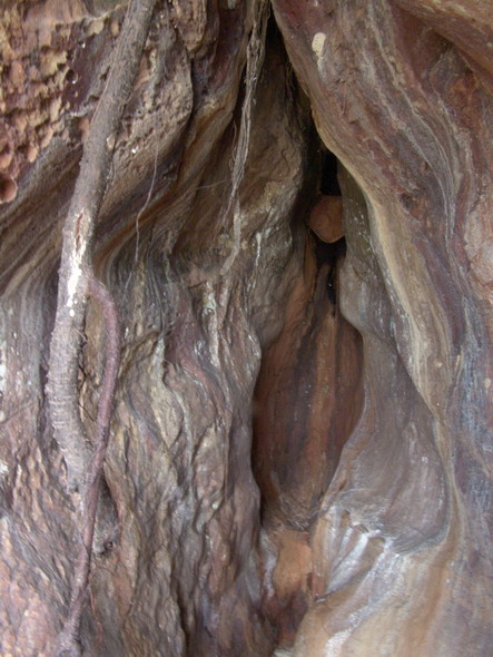 Ко Липе, Ко Рави и др.о-ва юга, Январь 2008, фото(траффик)