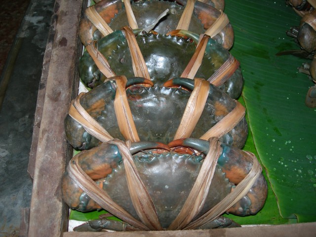 Бангкок- Пхукет- Бангкок ноябрь 2007.