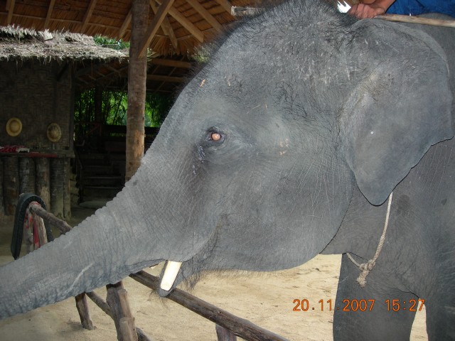 Бангкок- Пхукет- Бангкок ноябрь 2007.