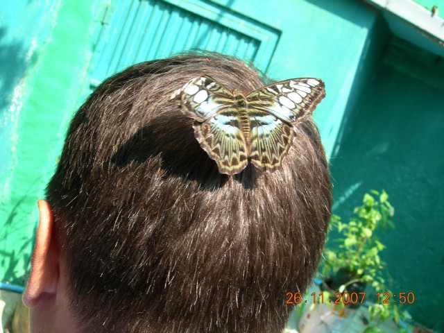 Бангкок- Пхукет- Бангкок ноябрь 2007.