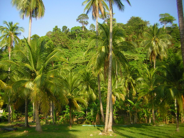 Мега-фотоотчет: Ко Чанг - с 2005 по 2010 г.