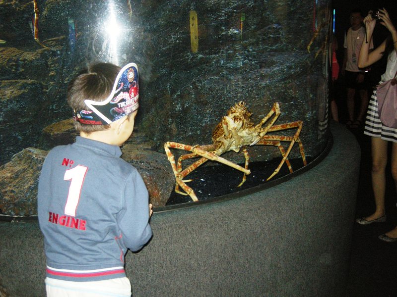 Бангкок для детей Бангкок для детей