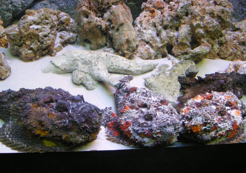 Бангкок для детей