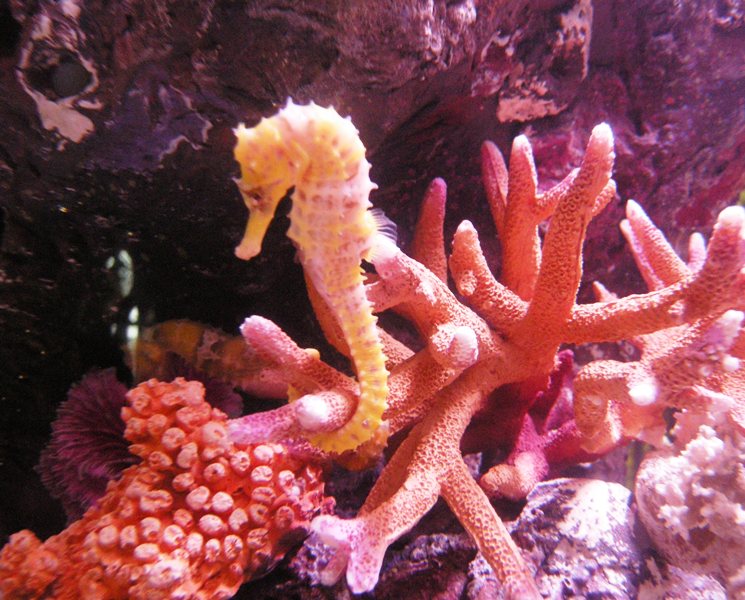 Бангкок для детей