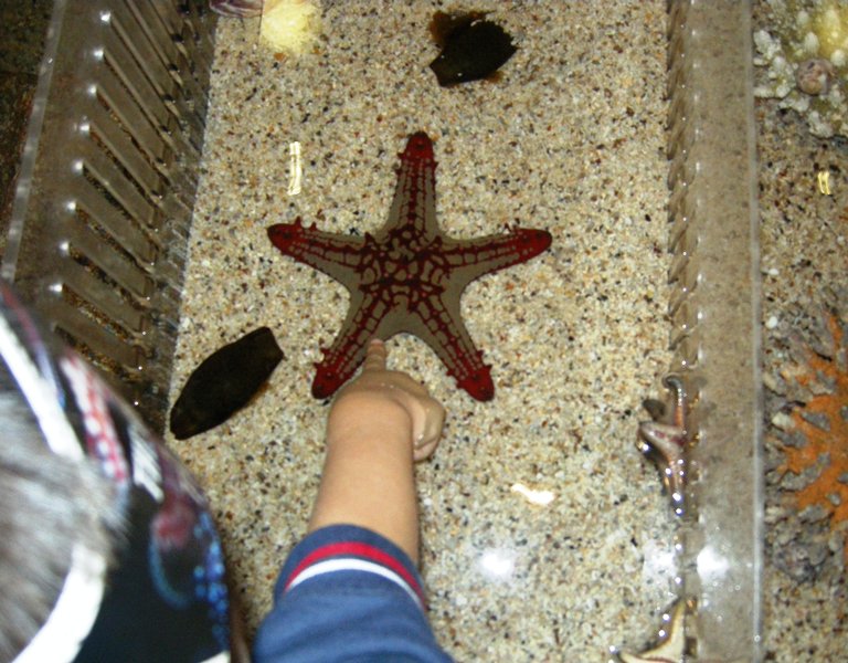 Бангкок для детей Бангкок для детей