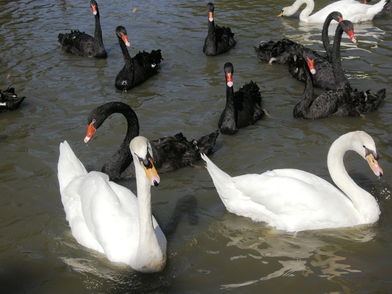 Бангкок для детей Бангкок для детей