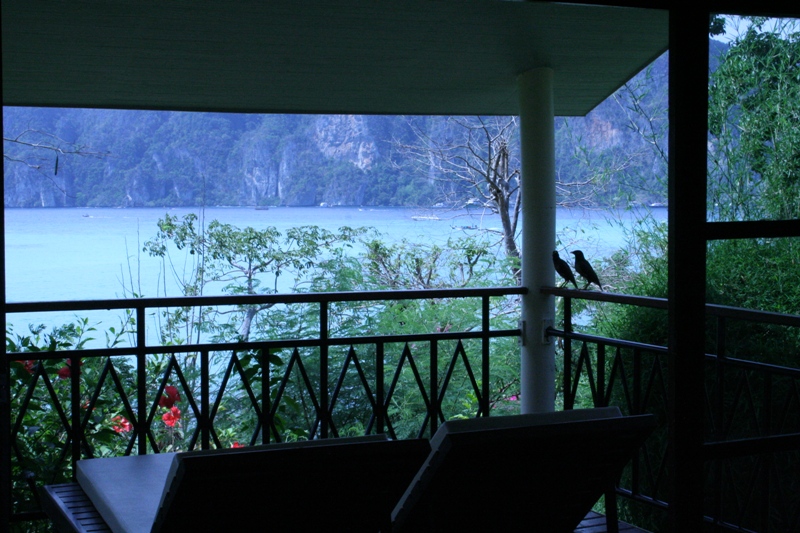 Москва - Пи-Пи - Москва (6-18 мар 2011)