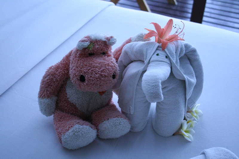 Москва - Пи-Пи - Москва (6-18 мар 2011)