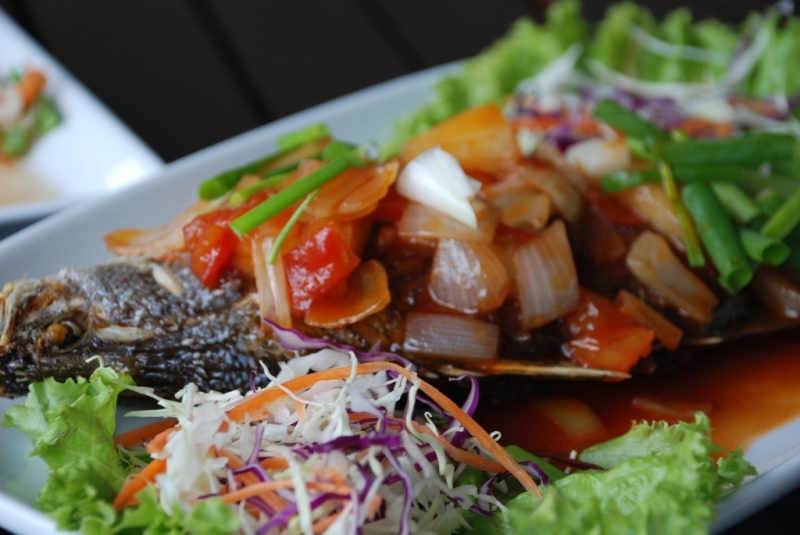 Самуи, Ко Тао - самостоятельное путешествие (янв. 2009)