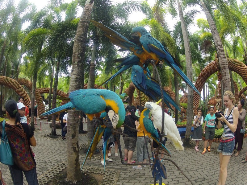 Таиланд впервые. 3-12 мая 2012.Добавлено Видео. Таиланд впервые. 3-12 мая 2012.Добавлено Видео.