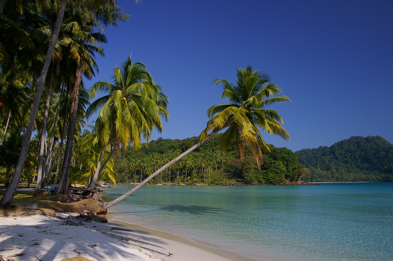 Koh Kood: Neverland Beach Resort