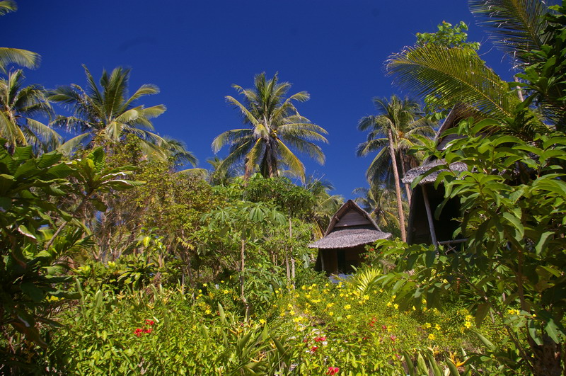 Фотоотчет - Тай в декабре (Краби-ПиПи-Пукет-Кут), траффик!