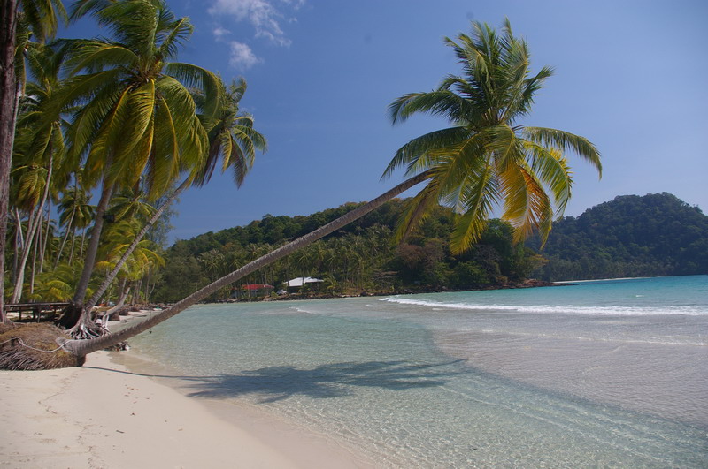 Фотоотчет - Тай в декабре (Краби-ПиПи-Пукет-Кут), траффик!