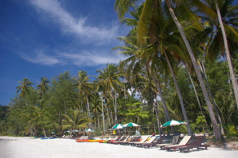 Фотоотчет - Тай в декабре (Краби-ПиПи-Пукет-Кут), траффик!