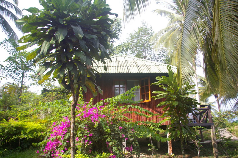 Фотоотчет - Тай в декабре (Краби-ПиПи-Пукет-Кут), траффик!