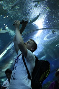 Таиланд впервые. 3-12 мая 2012.Добавлено Видео. Таиланд впервые. 3-12 мая 2012.Добавлено Видео.