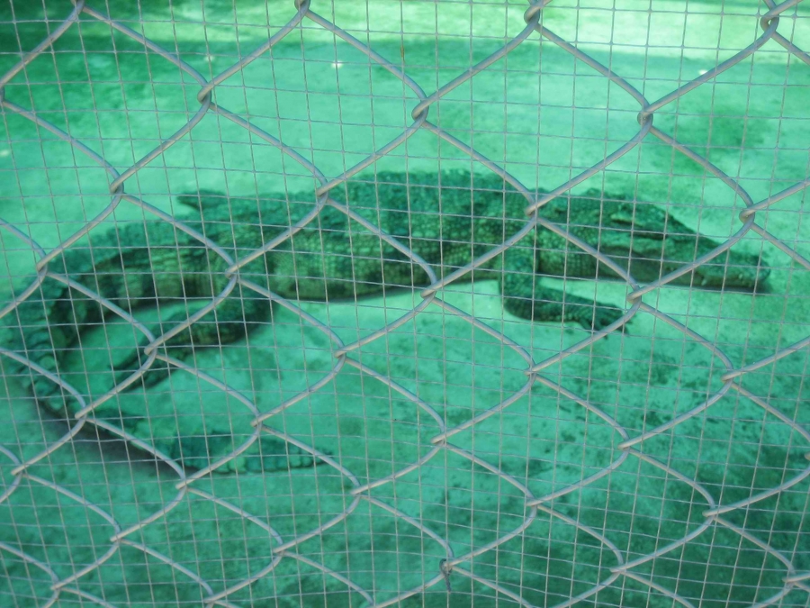 Любимая Паттайя! Продолжение