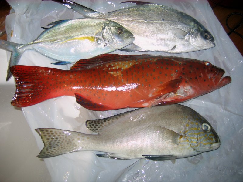 Первый блин: Краби-ПиПи-Пукет-Бангкок (24.12-10.01.2010)