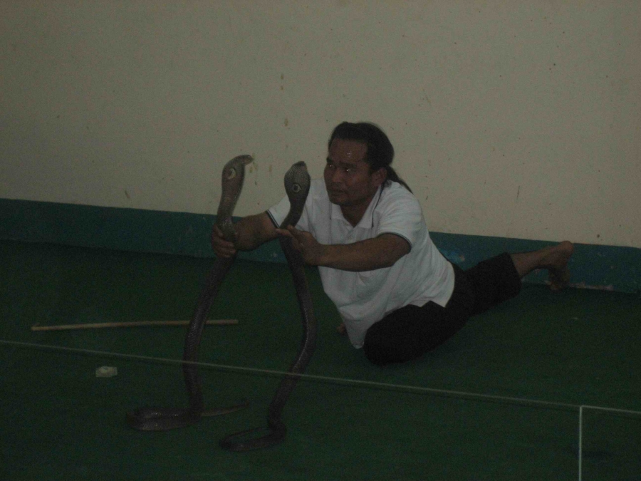 Любимая Паттайя! Продолжение