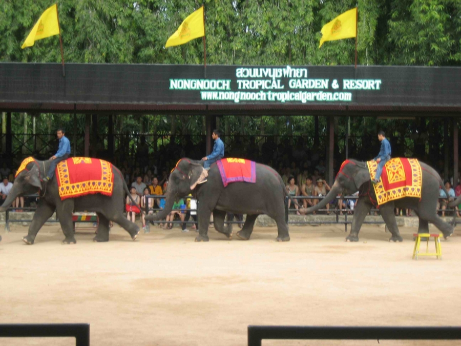 Любимая Паттайя! Продолжение