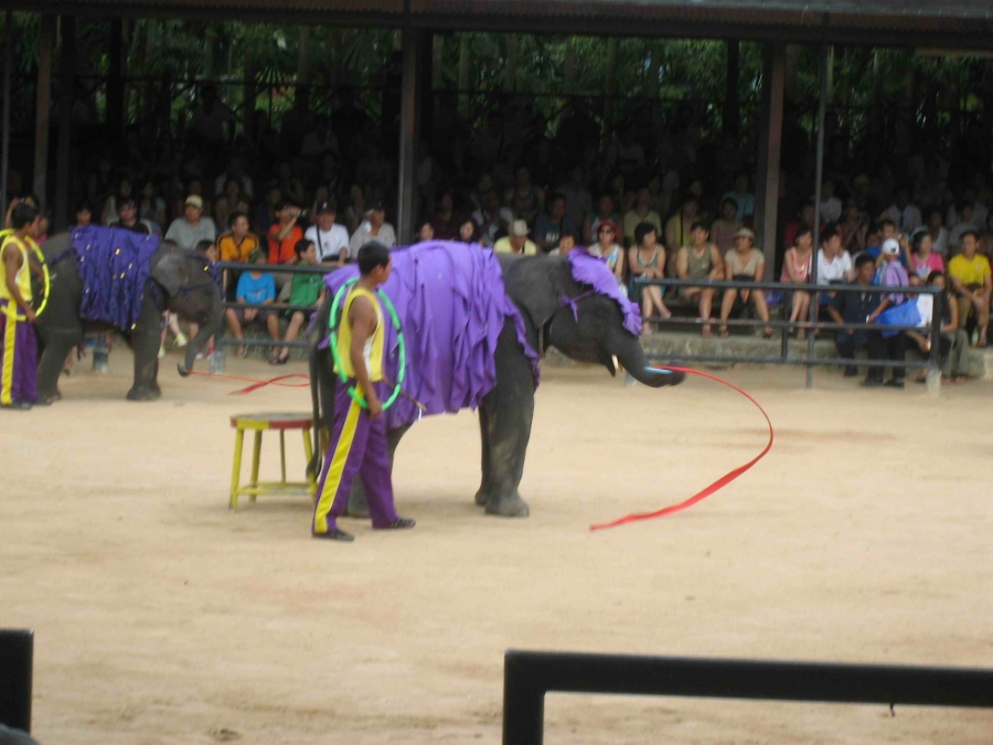 Любимая Паттайя! Продолжение