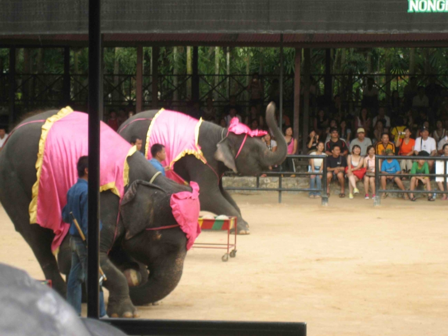 Любимая Паттайя! Продолжение