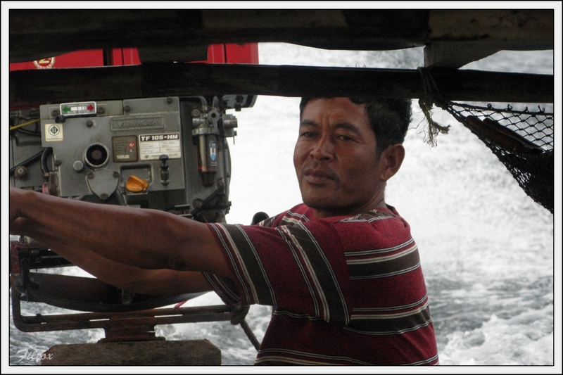 Про устрицы на Ко Липе