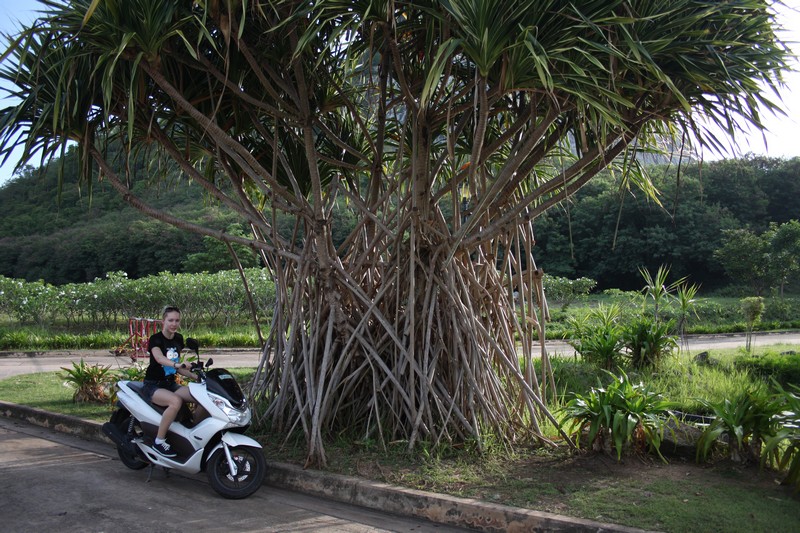 Таиланд впервые. 3-12 мая 2012.Добавлено Видео. Таиланд впервые. 3-12 мая 2012.Добавлено Видео.
