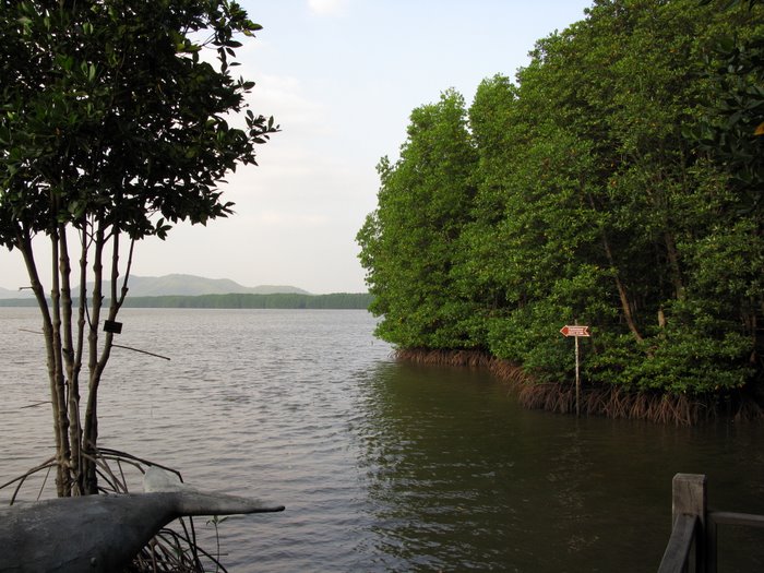 Безмятежный отдых в мятежном Таиланде