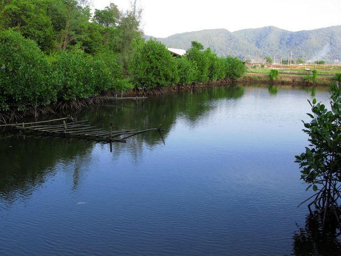 Безмятежный отдых в мятежном Таиланде