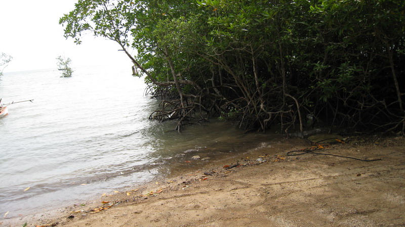 Новогодняя "сказка" Краби-Самуи