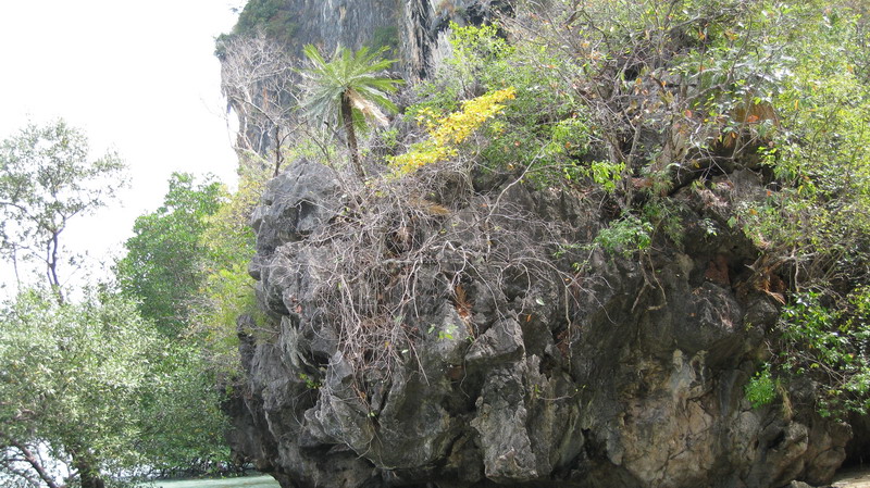 Новогодняя "сказка" Краби-Самуи