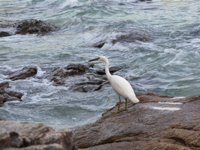 Безмятежный отдых в мятежном Таиланде
