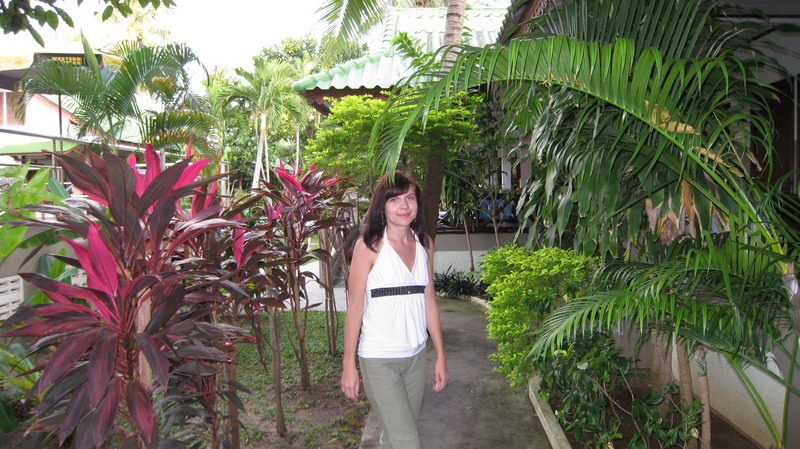 Новогодняя "сказка" Краби-Самуи