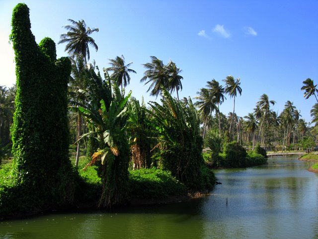 Безмятежный отдых в мятежном Таиланде