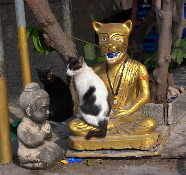 Безмятежный отдых в мятежном Таиланде