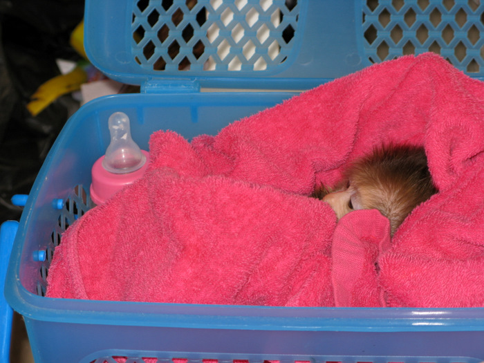 Безмятежный отдых в мятежном Таиланде