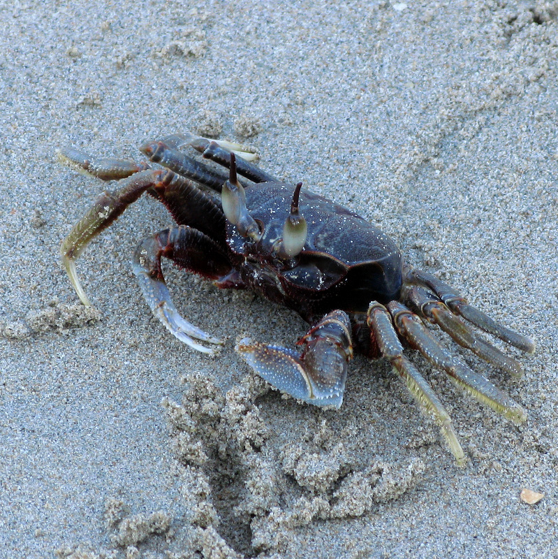 Безмятежный отдых в мятежном Таиланде