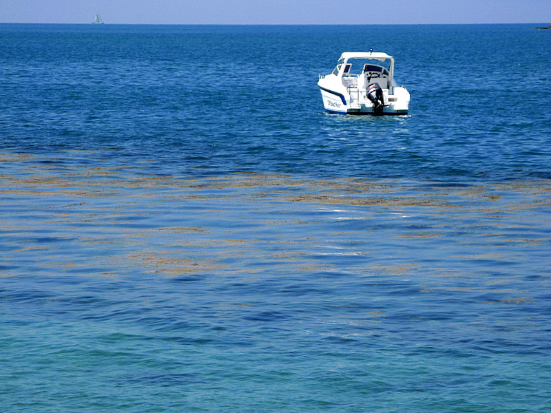 Безмятежный отдых в мятежном Таиланде