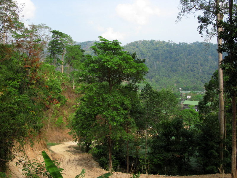 Безмятежный отдых в мятежном Таиланде