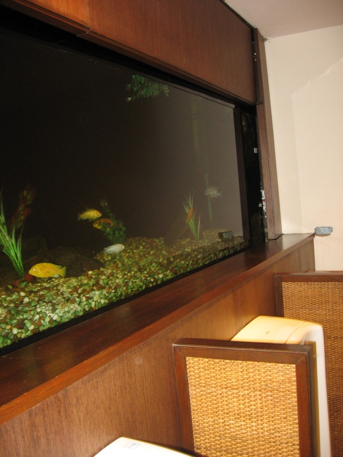 В первый раз БКК-Самуи-Краби-ПиПи-Пукет/февраль2009.